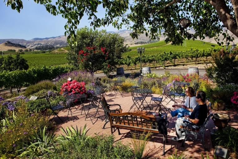 Wolff Vineyards, San Luis Obispo