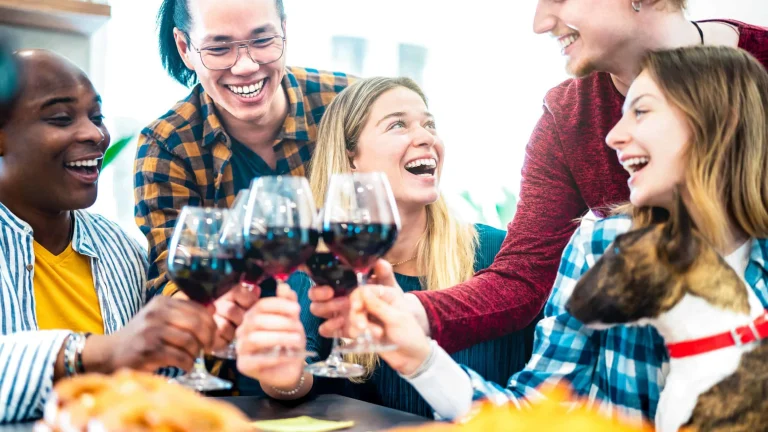 Young people toasting red wine on dinner party mood - Multiracia