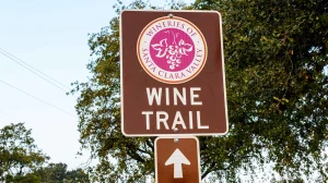 Santa Clara County’s pet-friendly wine trail