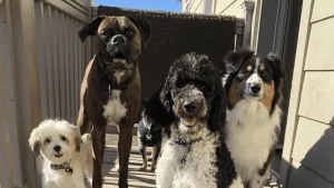 Dip into some desert sunshine