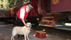 Kayla ready to board the Skunk Train.