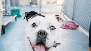 279559725_540028540815339_1674763839723605649_n-topaz-enhance