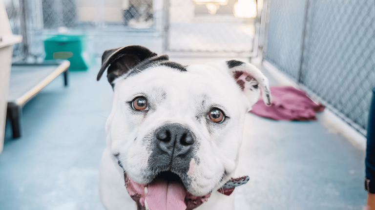 279559725_540028540815339_1674763839723605649_n-topaz-enhance