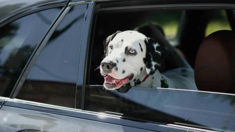 Tshaka Zulu visits Pleasant Hill.