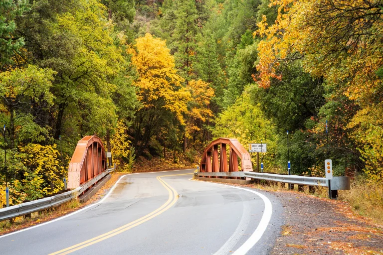 Image from Tehama County: fresh fun in California on DogTrekker