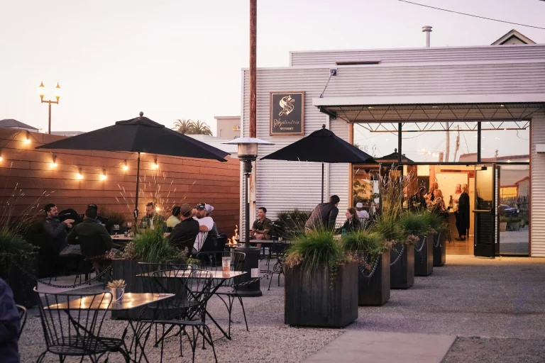 Septentrio Winery Google Places photo