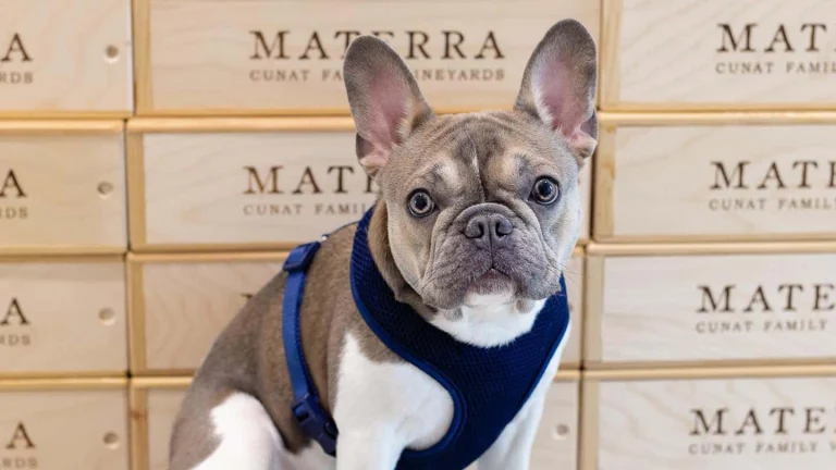 Materra Cunat Family Vineyard