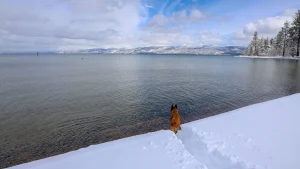 AdobeStock_331560756_b_regions-2048x1366