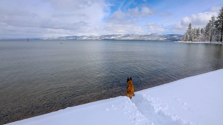 AdobeStock_331560756_b_regions-2048x1366