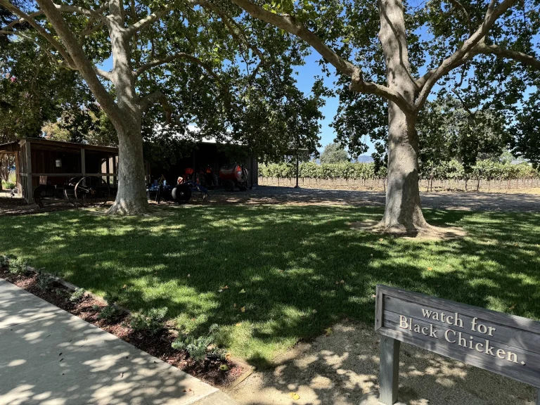 Robert Biale Vineyards