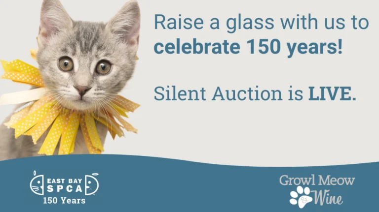 Image from The East Bay SPCA Growl Meow & Wine silent auction is live on DogTrekker