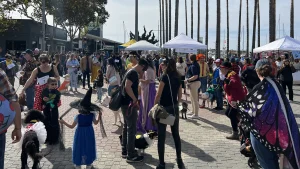 Dogs, costumes, kids and fun at DogFest Northwest, Jack London Square, Oakland.