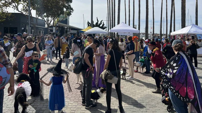 Dogs, costumes, kids and fun at DogFest Northwest, Jack London Square, Oakland.