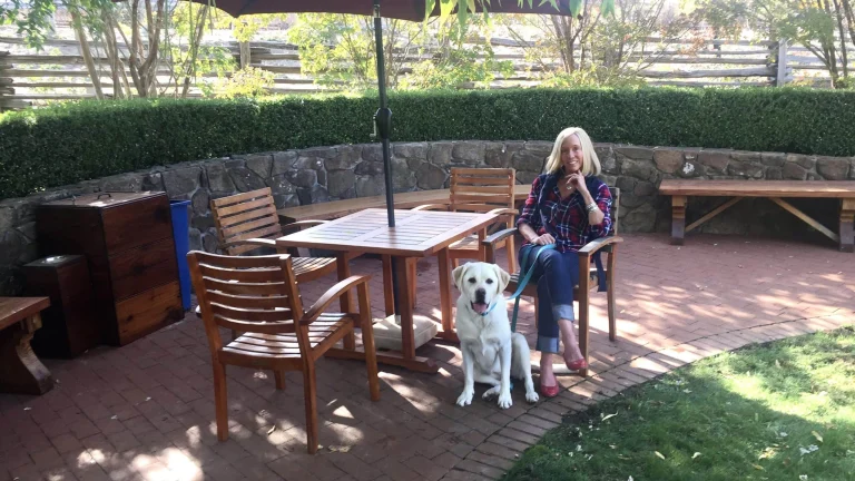 Image from Mendocino County wineries warmly welcome dogs on DogTrekker