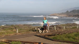 Walk along Moonstone Beach Boardwalk, Cambria.