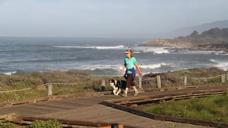Walk along Moonstone Beach Boardwalk, Cambria.