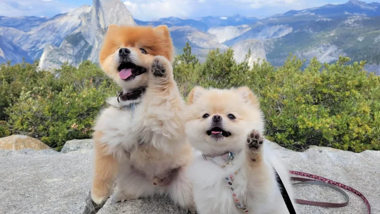 Best-in-show travel pix: 2024 Go California Photo Contest winners