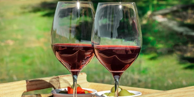 Two glasses of red wine on a wooden tray, green olives and red peppers nearby, set outdoors among greenery at a dog-friendly spot.