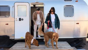 California glampsites your dog will dig