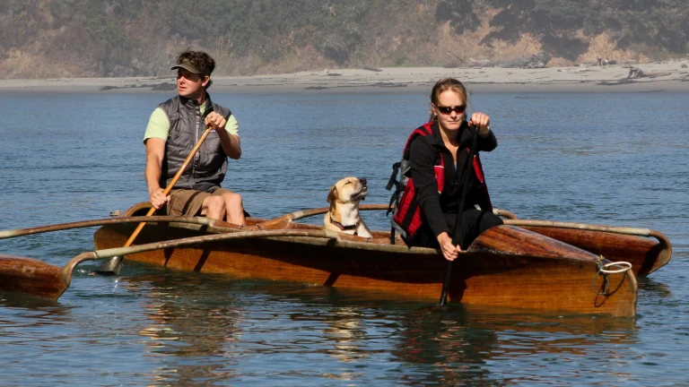 Image from Paws-itively perfect resort packages on DogTrekker