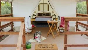 Vineyard views & wine-loving woofs