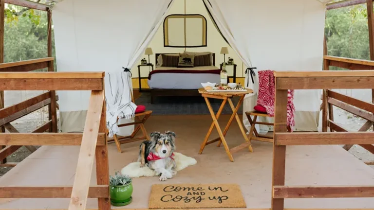 Wildhaven Sonoma A+-Wildhaven+-+Tent+Photo-737w