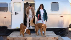 California glamping your dog will dig