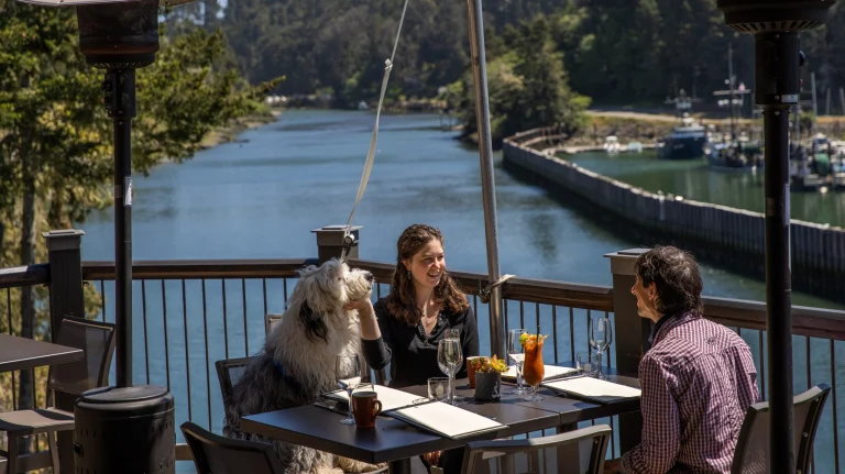 Image from Dog-friendly dining on a riverfront patio on DogTrekker