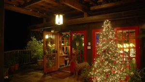 Four-paw fun, from harvest into the holidays