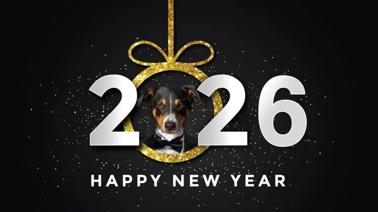 Image from Happy New Year from DogTrekker! on DogTrekker