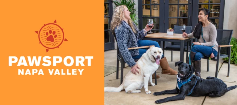 Two women with dogs sit at a patio table with wine glasses; PawSport Napa Valley logo appears on an orange background to the left.