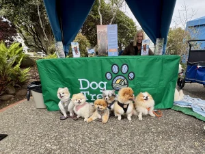 Pup Palooza is back and better than ever