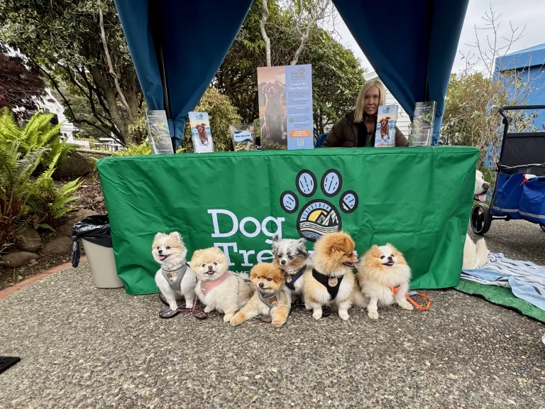 Pup Palooza. Photo by Dave Kendrick