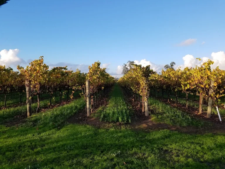 Balletto Vineyards & Winery