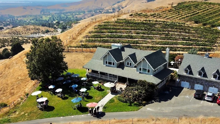 Big Dog Vineyards, a dog-friendly winery in Milpitas, California