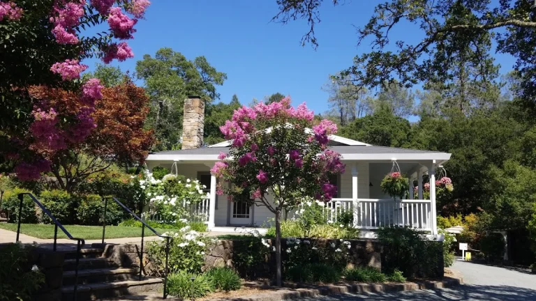 Bremer Family Winery, a dog-friendly restaurant in Saint Helena, California