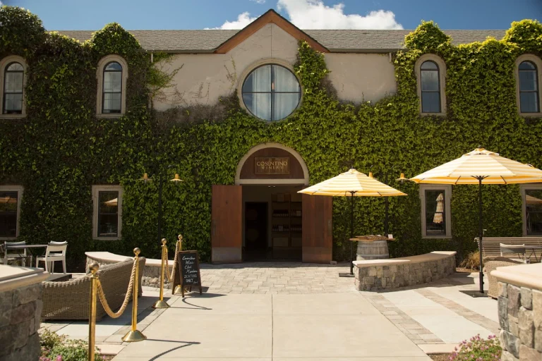 Cosentino Winery, a dog-friendly winery in Napa, California