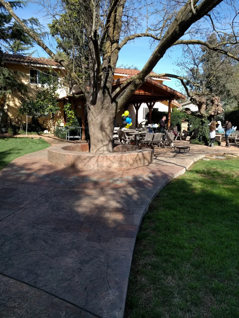 Creekview Vineyards, a dog-friendly winery in San Martin, California