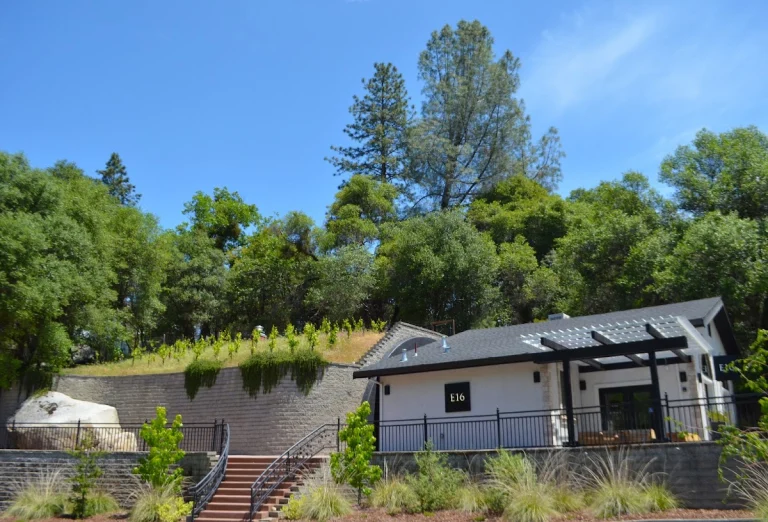 E16 Winery, a dog-friendly restaurant in Somerset, California