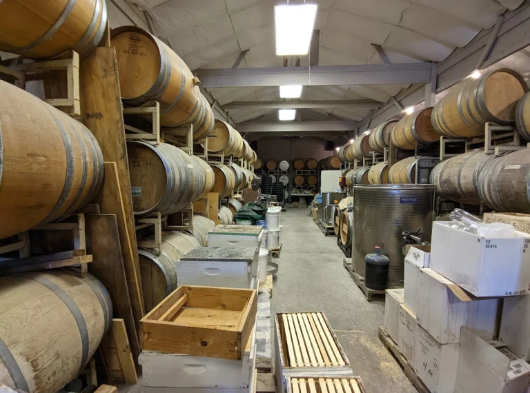 El Sol, a dog-friendly winery in Livermore, California