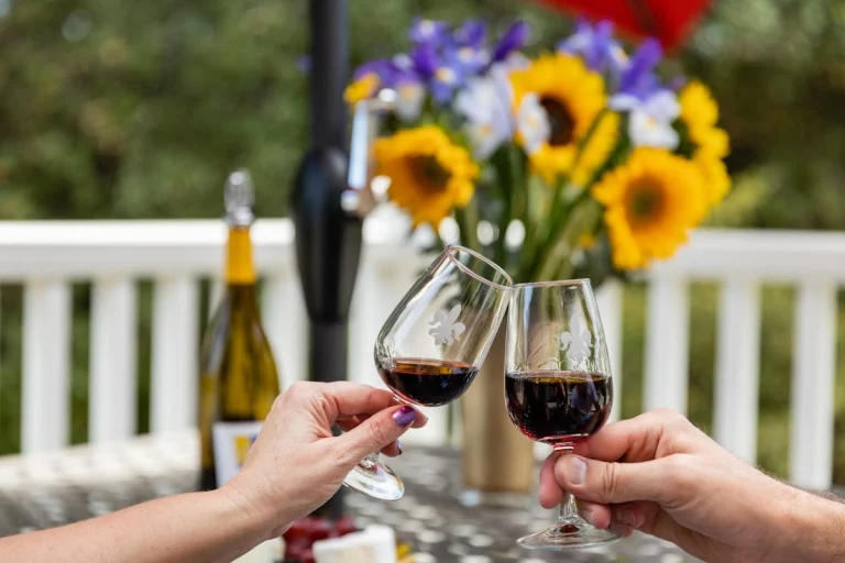 Fleur de Lys Winery, a dog-friendly restaurant in Somerset, California