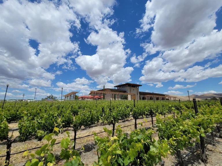 Garré Vineyard, Winery & Cafe, a dog-friendly winery in Livermore, California