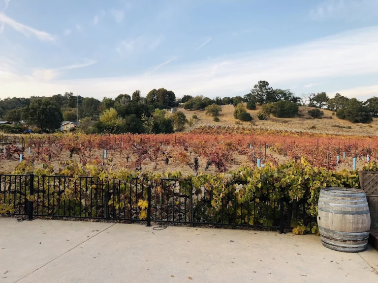 Hecker Pass Winery, a dog-friendly winery in Gilroy, California