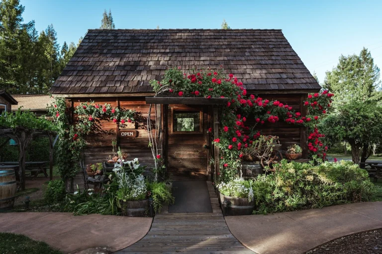 Husch Vineyards & Winery, a dog-friendly restaurant in Philo, California