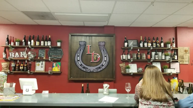 Lucky Dogg Wine Bar, a dog-friendly winery in Solvang, California