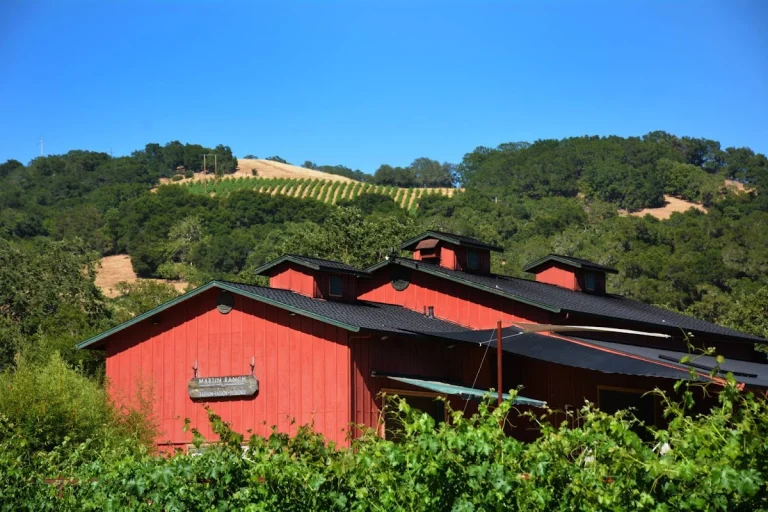 Martin Ranch Winery, a dog-friendly restaurant in Gilroy, California
