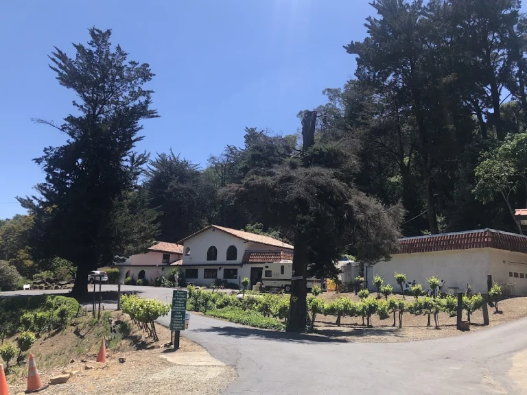 Palomares Winery, a dog-friendly winery in Castro Valley, California