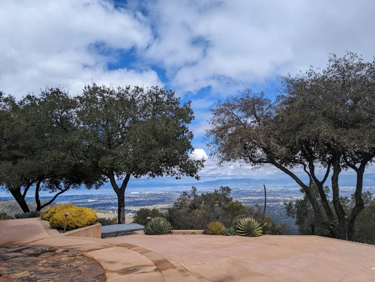 R & W Vineyards, a dog-friendly winery in Cupertino, California