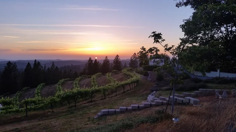 Rome Valley Vineyards, a dog-friendly winery in Garden Valley, California
