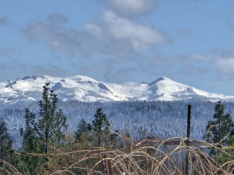 Sierra Vista Winery, a dog-friendly winery in Placerville, California